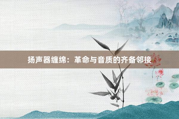 扬声器缠绵：革命与音质的齐备邻接