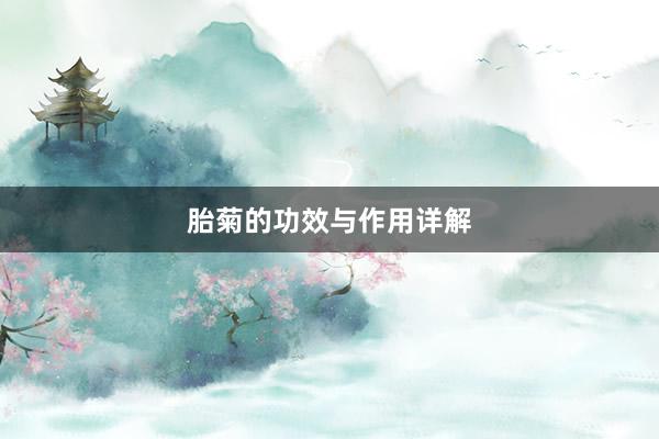 胎菊的功效与作用详解