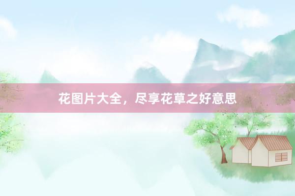 花图片大全，尽享花草之好意思