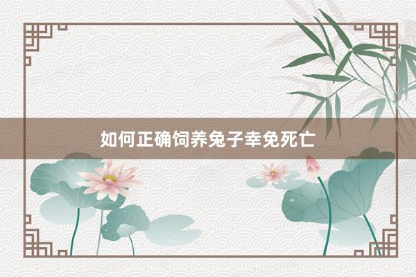 如何正确饲养兔子幸免死亡