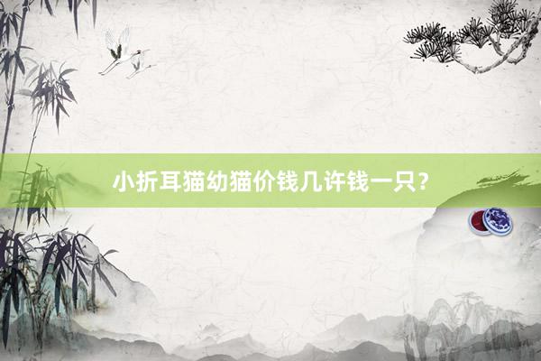 小折耳猫幼猫价钱几许钱一只？