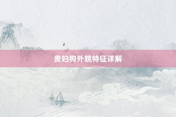 贵妇狗外貌特征详解